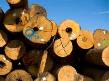 Logs