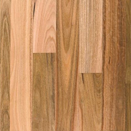 Boral Engineered Spotted Gum 134mm Wide