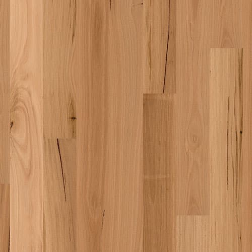 Australian Native Blackbutt Longboard