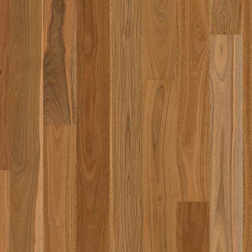 Australian Native Spotted Gum Long Board