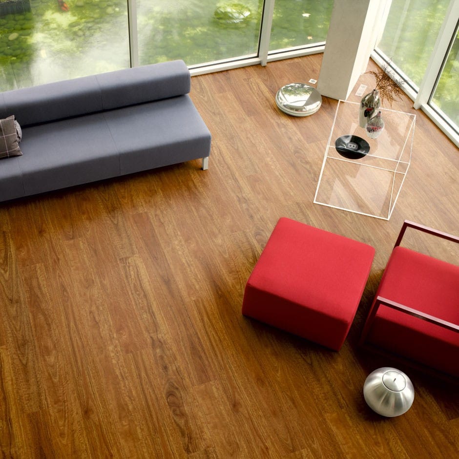Eligna Spotted Gum - Image 2
